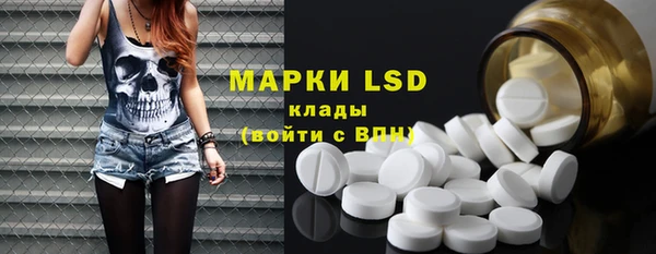 твердый Вяземский