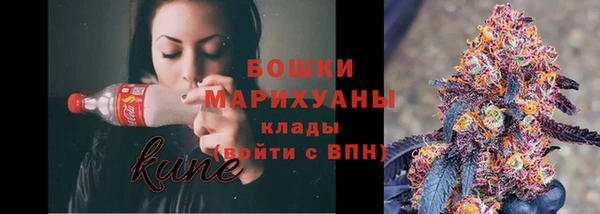 твердый Вяземский