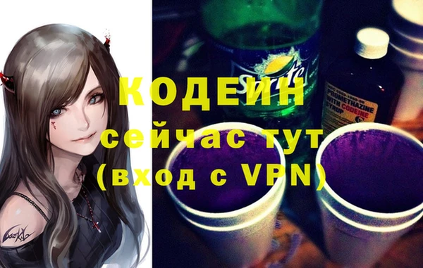 твердый Вяземский