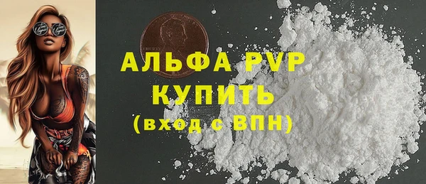 PSILOCYBIN Рославль