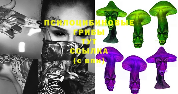 твердый Вяземский