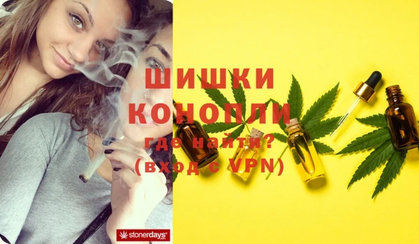 твердый Вяземский