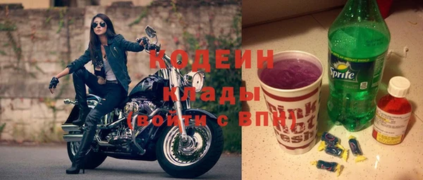 твердый Вяземский