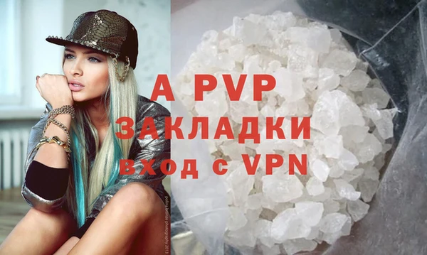 твердый Вяземский