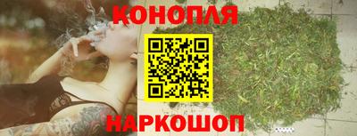 гашик Кулебаки