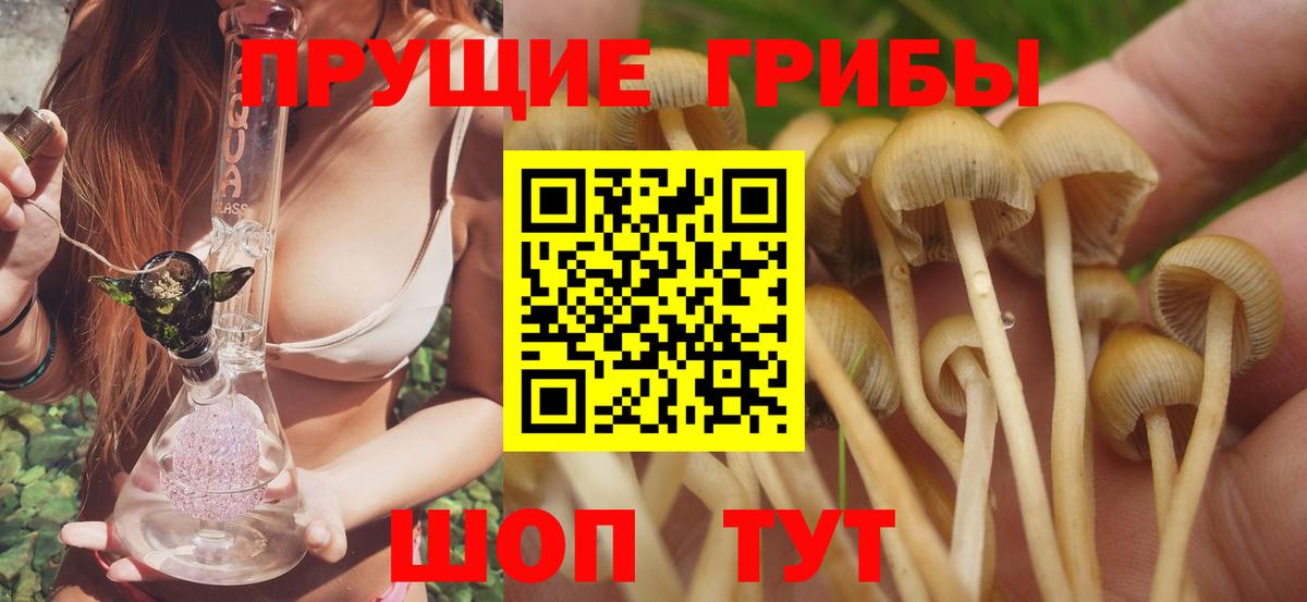 Галлюциногенные грибы Magic Shrooms Железногорск