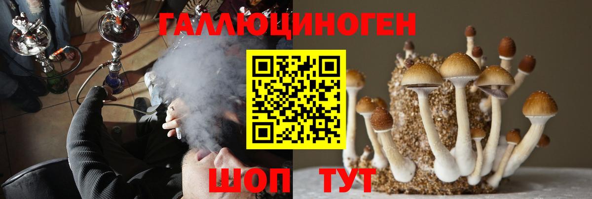 Железногорск  наркошоп  Псилоцибиновые грибы MAGIC MUSHROOMS  Вход с VPN  Галлюциногенные грибы прущие грибы 